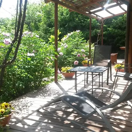 Evergreen Willa Wilno