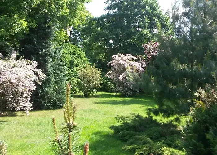 Evergreen Willa Wilno